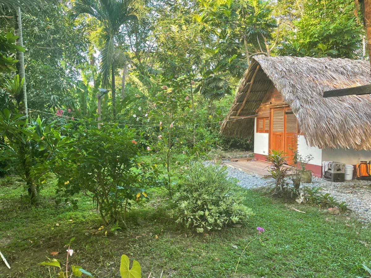 Cabanas Tucan Eco Hotel Capurganá Extérieur photo