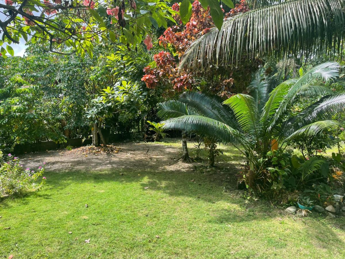 Cabanas Tucan Eco Hotel Capurganá Extérieur photo