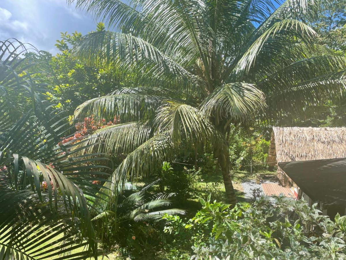 Cabanas Tucan Eco Hotel Capurganá Extérieur photo